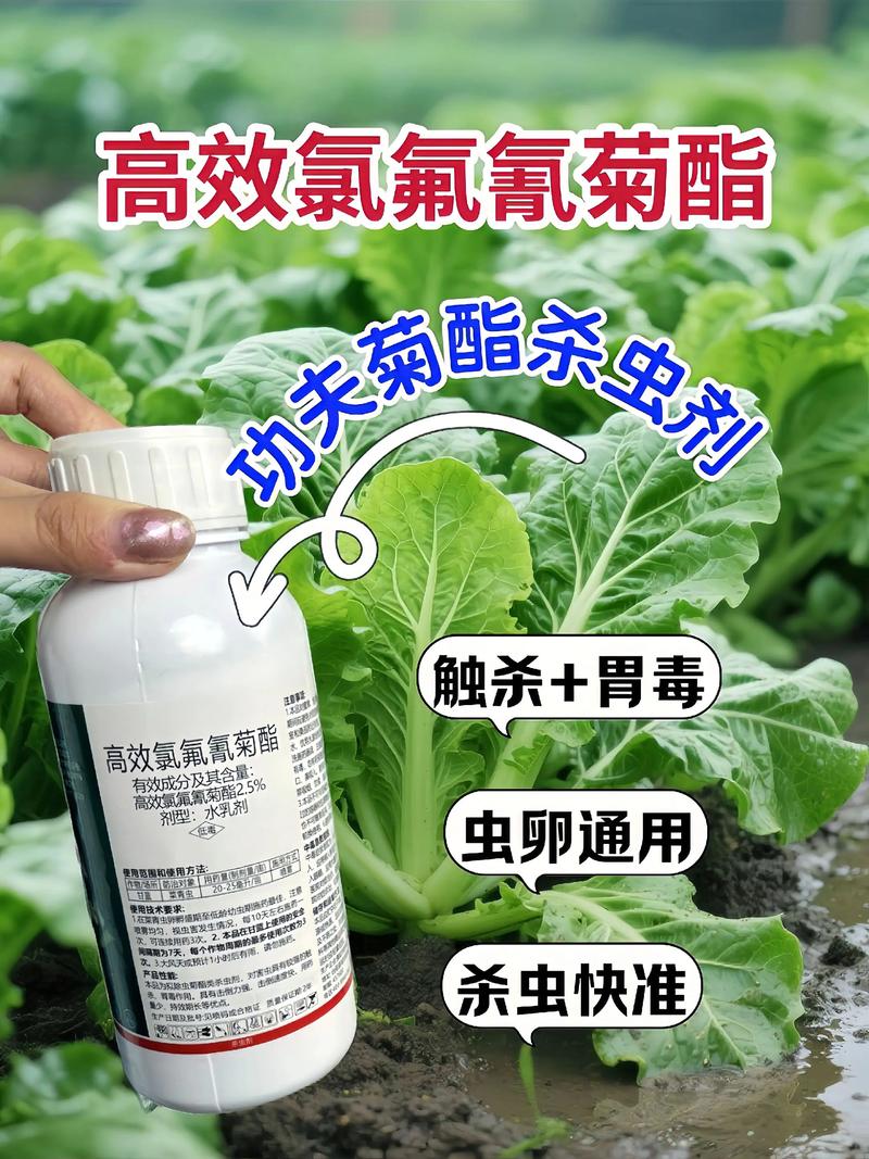 广西代生中心:农药对供卵代生妈妈的危害